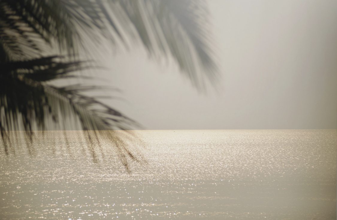 Tropical destination
